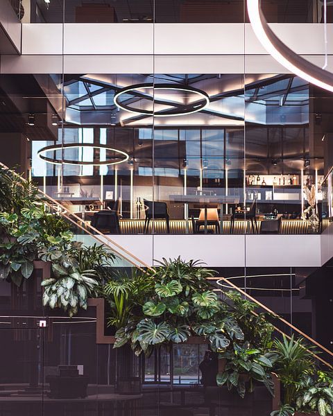 Architectural details Plants and staircase by Jonai