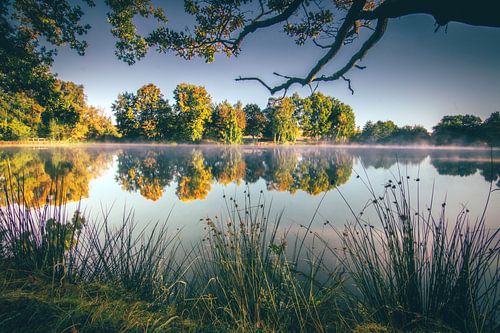 Een meer in de herfst, lichte mist op het water en een perfecte weerspiegeling