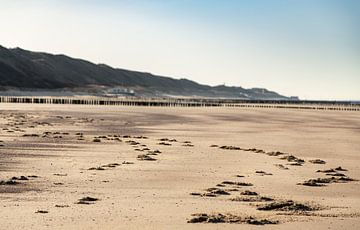 Opgeruwd zand met zicht op de duinen van Percy's fotografie
