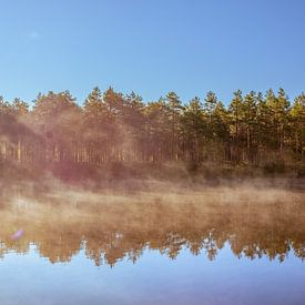 Morgenpanorama Finnland von Yanuschka | Fotografie Noordwijk