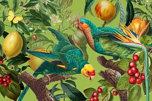Green Tropics