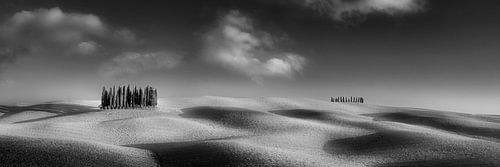 Landschap met velden en heuvels in Toscane in zwart-wit
