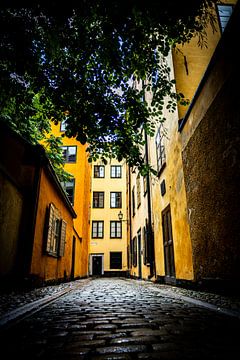Stockholm von Mike Frinking