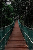 A rope bridge in Eco Forest Kuala Lumpur maleisie