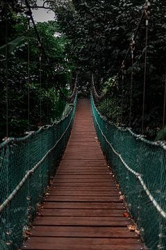 A rope bridge in Eco Forest Kuala Lumpur maleisie by Melanie (Flashpacker)