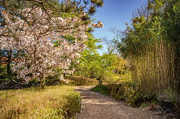 Enjoy life's moments!