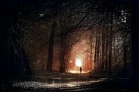 Ins Licht