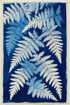 Imprimé fougère en bleu