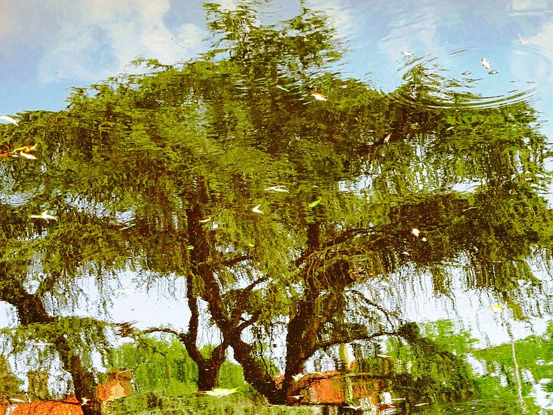 Tree Magic 189 by MoArt (Maurice Heuts)