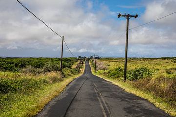 Hawaïen sur Marcel Bonte