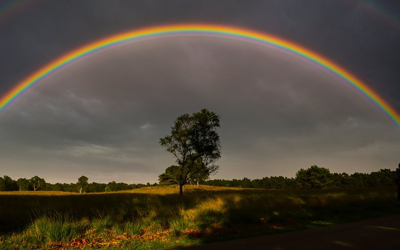 Regenboog von Edwin Fennema