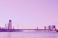Rotterdam - Willemsbrug en omgeving - in lila tinten