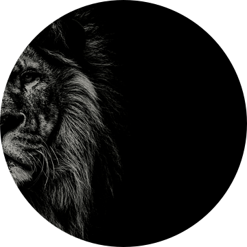 Leeuw zwart wit met titel: The Beast - Indrukwekkende portret - Leeuw schilderij - Schilderij - Wand van Designer