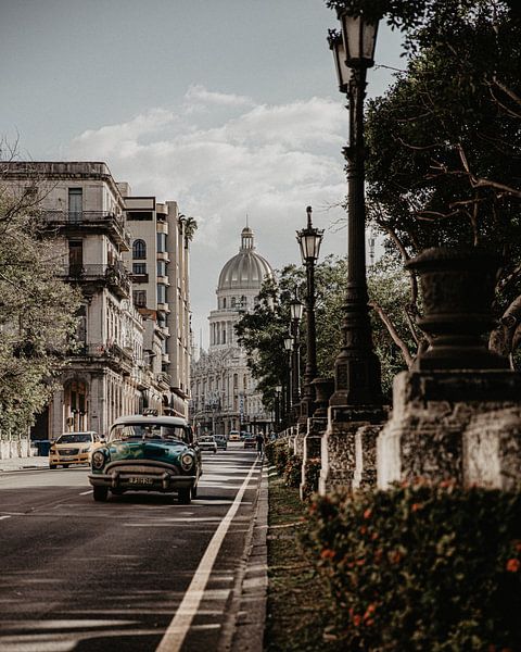 Havana by Hello Pompoyo