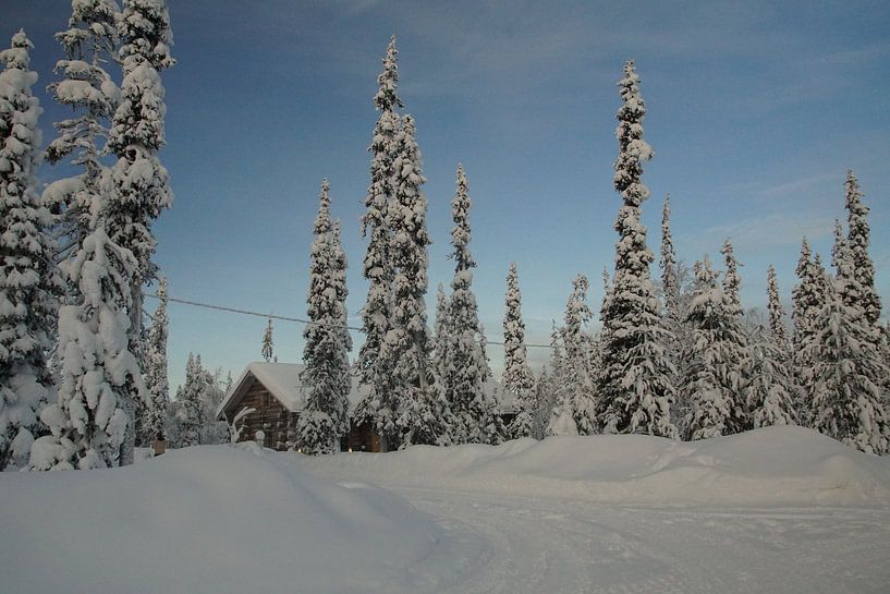 Landschap Lapland by Marleen van Es