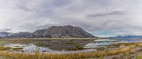 Langs de Alaska Highway van René Roos thumbnail