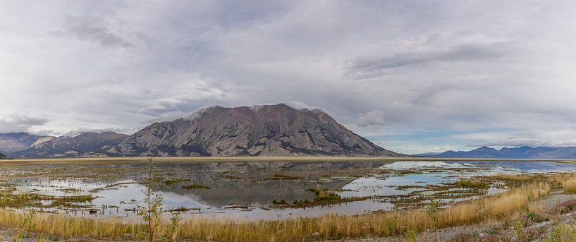 Langs de Alaska Highway van René Roos