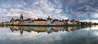 Regensburg Panorama von Tilo Grellmann Miniaturansicht