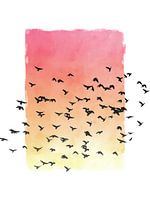 Zonsondergang met vogels
