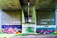 Grafitti unter der Ijssel-Brücke von Annemarie Veldman Miniaturansicht
