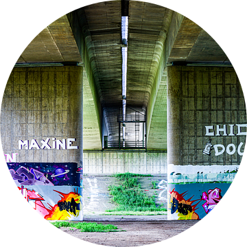Grafitti onder de Ijsselbrug van Annemarie Veldman