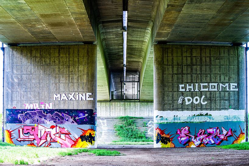 Grafitti under the Ijssel bridge by Annemarie Veldman