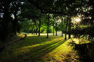 Schönes Licht