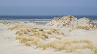 Terschelling by André Hamerpagt thumbnail