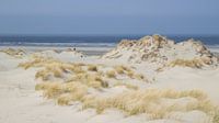 In de duinen opTerschelling