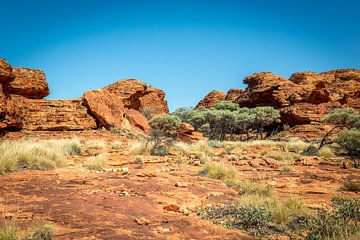 Kings Canyon - Australien von Troy Wegman