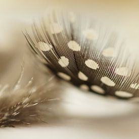 Danser sur Carla Mesken-Dijkhoff