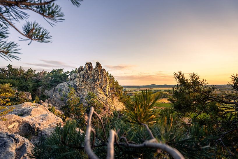 The view of the Hamburg coat of arms by Steffen Henze