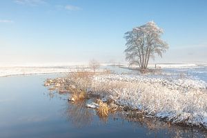 Rivier in besneeuwd landschap