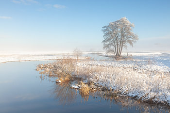 Fluss in verschneiter Landschaft