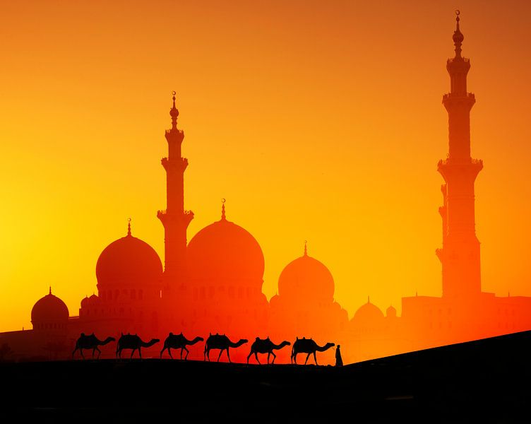 71330253 Mann mit Kamelen Dubai in der Moschee von BeeldigBeeld Food & Lifestyle