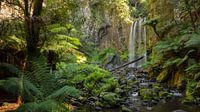 Hopetoun Falls, Victoria Australie