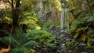 Hopetoun Falls, Victoria Australie van Chris van Kan