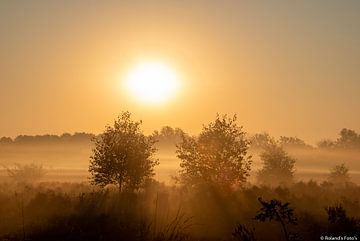 Sunrise Baloere field by Roland's Foto's