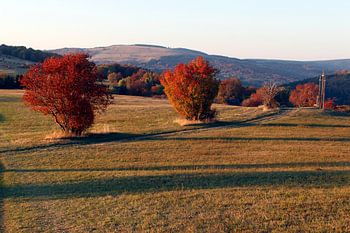 Rote Herbstfärbung am Kreuzberg in der Rhön