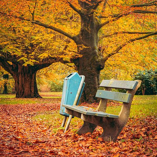 Herbsttag im Park