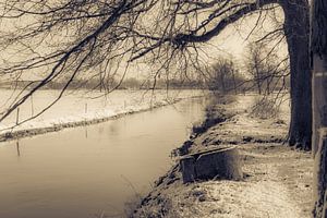 rivier in sneeuwlandschap
