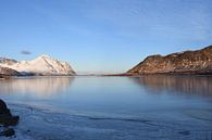 Bergen met contrast in fjord aan de Noorse zee. by Gideon Onwezen thumbnail