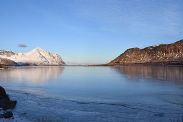 Bergen met contrast in fjord aan de Noorse zee. by Gideon Onwezen