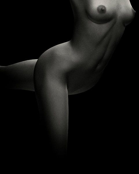 Femme nue – Etude de nu de Jamie No 3 par Jan Keteleer