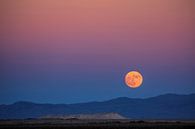 Maan boven Nevada van Yvonne Smits thumbnail