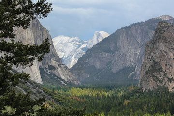 Halbkuppel-Yosomiten-Nationalpark von Marinella Geerts