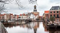 Leiden. Netherlands. van Lorena Cirstea thumbnail