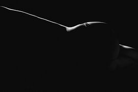 play with shade by Jessie Van Kerckhove