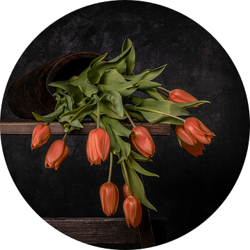 Oranje gevallen tulpen van Peter Abbes