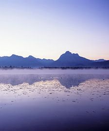 Allgäuer Alpen spiegeln sich im Hopfensee, Allgäu, Bayern, Deutschland von Markus Lange